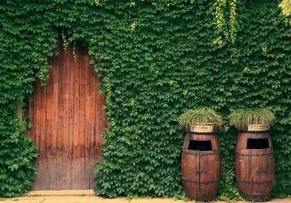 青島垃圾桶 青島垃圾桶